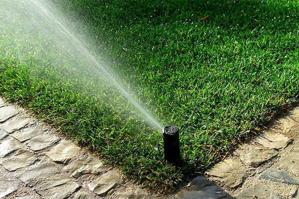 budget-sprinkler-irrigation-system-installation