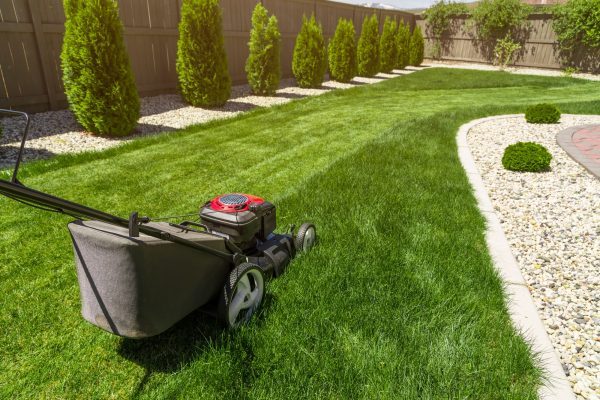 lawn-mower-oha9xyr4nhnal3b43n6fucjs32y5gtrwvolptlhw2o
